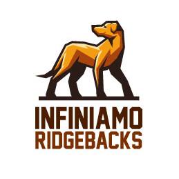 Infiniamo